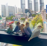 버드소리 대구수성점