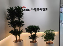 아델국제결혼