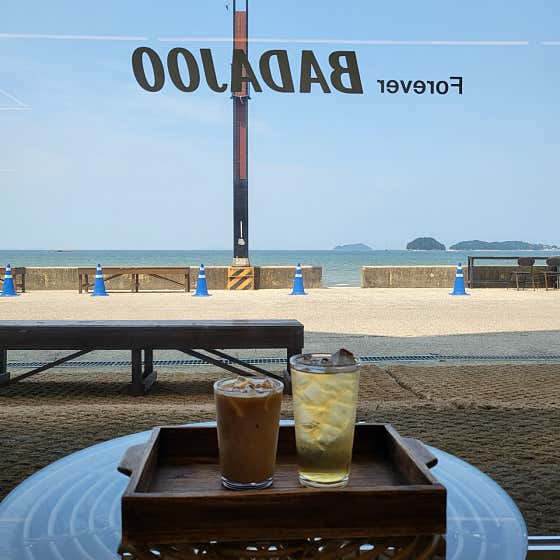 바다주 사진