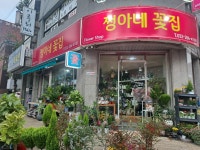 쩡아네정원 부천