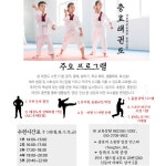 충효태권도