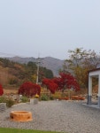 정선라움민박