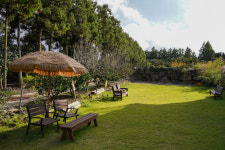 제주보메와산감귤체험농장