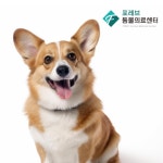 포레브동물의료센터