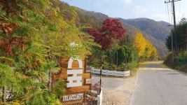 펜션 숲