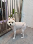 꾸앤쏭