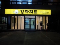 강아지트