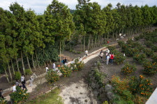 제주보메와산감귤체험농장