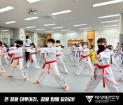 용인대태성태권도장