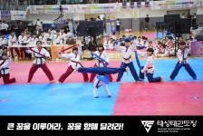 용인대태성태권도장