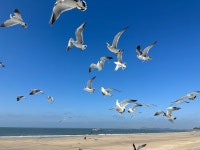 숲에온어린이집