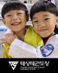 용인대태성태권도장