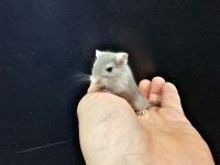 와우펫앤쥬 대구점