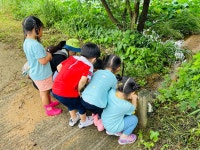 자연동산어린이집