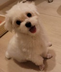조으냥