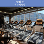 팀터틀랫 마산양덕점