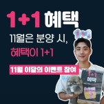 미앤유펫 강아지고양이 원주점