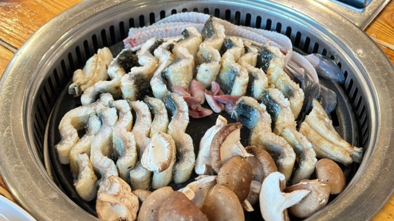 황금장어