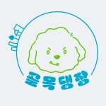 새솔동 골목댕장 애견유치원&호텔
