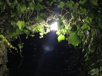 서귀포힐스테이