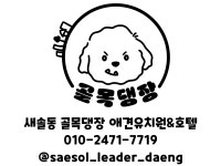 새솔동 골목댕장 애견유치원&호텔
