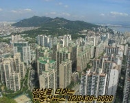 부동산뉴스공인중개사사무소