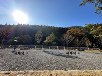 별 품은 숲속 캠핑장