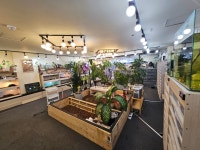 파충류샵 에스엠게코