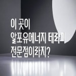 한스테라피