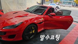 로얄손세차