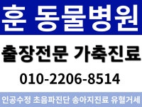 훈동물병원