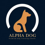 알파독 반려견 교육센터