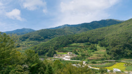 보느몽뜨