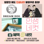 드림독 강아지분양 안심분양센터 김포점