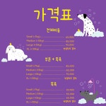 퍼스업 애견미용