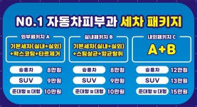 넘버원자동차피부과 영통점