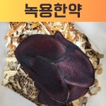 신대생생한의원