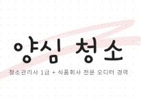 양심청소