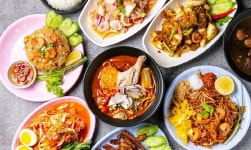 쌥노아타이 주안점