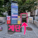 맥스약국