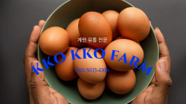 꼬꼬팜