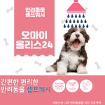올리스24 부산남구점