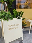 별빛콩