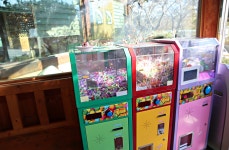 황금코다리 파주헤이리점