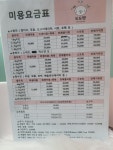 도도펫