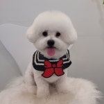 이쁘개애견샵