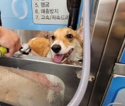 마이리틀프렌드 강남점