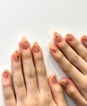 네일 앤 니
