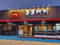 용용대게