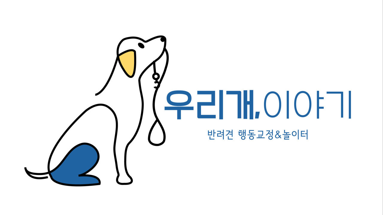 우리개이야기